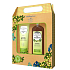 Biotter GlySkinCare Macadamia-Öl-Shampoo für trockenes und strapaziertes Haar 250 ml + Duschgel 250 ml, Kosmetik-Set