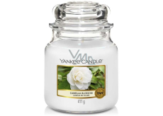 Yankee Candle Camellia Blossom Klassisches mittleres Glas 411 g