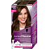 Schwarzkopf Perfect Mousse Haarfarbe 6-00 (600) hellbraun