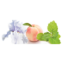 Bvlgari Splendida Patchouli Zelt Eau de Parfum für Frauen 30 ml