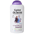 Corine de Farme Frozen II 2 in 1 Haarshampoo und Duschgel für Kinder 300 ml