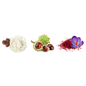 Kneipp Winterpflege Duschcreme 75 ml + Handcreme 75 ml + Badeschaum 100 ml, Kosmetikset für Frauen