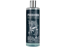 Bohemia Gifts 4in1 Poseidon Duschgel, Shampoo, Schaum und Seife 400 ml