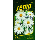 Semo Weiße Margerite Shasta Daisy 0,8 g