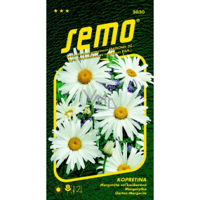 Semo Weiße Margerite Shasta Daisy 0,8 g Semo Weiße Margerite Shasta Daisy 0,8 g