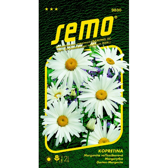 Semo Weiße Margerite Shasta Daisy 0,8 g