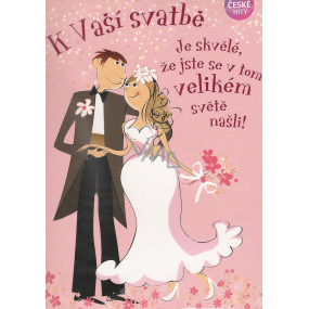 Albi spielt Wünsche für das Cover Für den Hochzeitstag ist Karel Gott und Petra Janů 14,8 x 21 cm schön