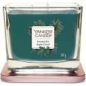 Yankee Candle Frosted Fir - Elevation Mittlere Sojabohnenkerze Sojabohnen-Duftkerze 347 g