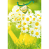 Nekupto Geschenk Papiertüte 32,5 x 26 x 13 cm Gänseblümchen 1660 50 KFL