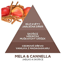Millefiori Milano Natural Mela & Cannella - Apfel- und Zimtdiffusor 250 ml + 8 30 cm lange Stiele für mittelgroße Räume hält mindestens 3 Monate
