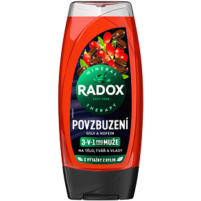 Radox Duschgel für Männer Belebung, 225 ml