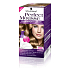 Perfect Mousse Permanent Color Haarfarbe 700 Dunkelbraun
