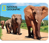 Prime3D Magnet - Afrikanische Elefanten 9 x 7 cm