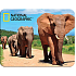 Prime3D Magnet - Afrikanische Elefanten 9 x 7 cm