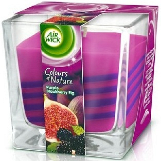 Luft Docht Farben der Natur Lila Feigen Duftkerze im Glas 180 g