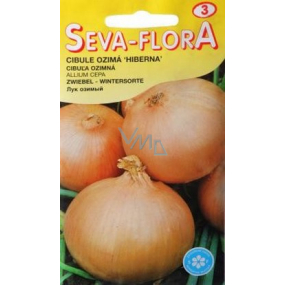 Seva - Flora Winterzwiebeln Hiberna 2 g
