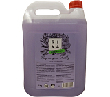 Riva flüssige antibakterielle Seife, 5 kg