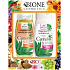 Bione Cosmetics Cannabis Regenerierendes Pflegendes Shampoo 260 ml + Regenerierende Haarspülung 260 ml, Kosmetikset