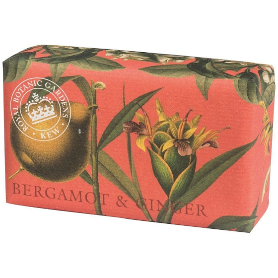 English Soap Bergamot & Ginger - Bergamotte und Ingwer natürliche parfümierte Toilettenseife mit Sheabutter 240 g