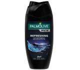 Palmolive Men Erfrischendes 2in1 250 ml Duschgel