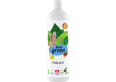 Real Green Clean Bodenbelag Bodenreiniger 1 kg