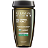 Kérastase Homme Capital Force Anti-Oiliness Shampoo für fettiges Haar mit stärkender Wirkung zur Erhaltung der Haardichte für Männer 250 ml