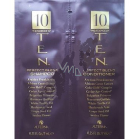 Alterna Ten Perfect Blend Duo Sachet Shampoo und Spülung Probe für ein atemberaubendes Gefühl der Perfektion 2 x 7 ml