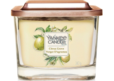 Yankee Candle Citrus Grove - Citrus Grove Soja-Duftkerze Elevation Medium Glas 3 Dochte 347 g