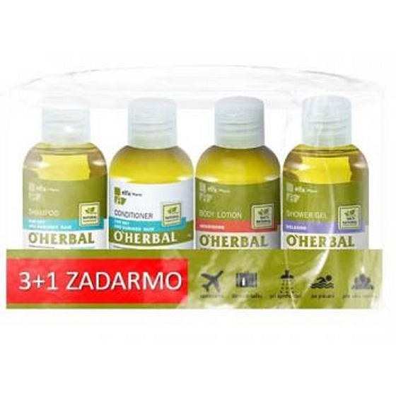 About Herbal Lein Shampoo für trockenes und strapaziertes Haar 75 ml + Haarspülung 75 ml + Lavendel Duschgel 75 ml + Goji Body Lotion 75 ml, Kosmetikset