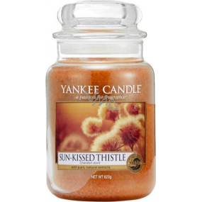 Yankee Candle Sun Kissed Thistle - Perfekte Duftkerze mit Herbstduft Klassisches großes Glas 623 g