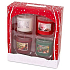 Herz & Zuhause Roter Apfel mit Sternanis 52 g + Weihnachtsbaum 52 g + Warmes Weihnachten 52 g + Wintermärchen 52 g, Soja-Minikerzen-Geschenkset