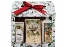 Bohemia Gifts Frohe Weihnachten Weihnachtsduschgel 2 x 100 ml + Apfel-Zimt-Duftkarte 11 x 6,3 cm, Kosmetikset
