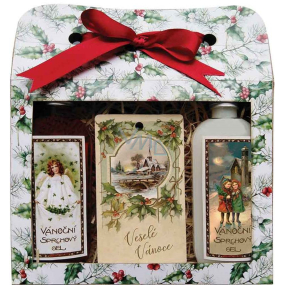 Bohemia Gifts Frohe Weihnachten Weihnachtsduschgel 2 x 100 ml + Apfel-Zimt-Duftkarte 11 x 6,3 cm, Kosmetikset