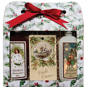 Bohemia Gifts Frohe Weihnachten Weihnachtsduschgel 2 x 100 ml + Apfel-Zimt-Duftkarte 11 x 6,3 cm, Kosmetikset
