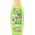 Fa Duschgel Flower Burst Limited Edition, 400 ml