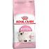 Royal Canin Kitten Komplettfutter für Kätzchen von 4 bis 12 Monaten 400 g