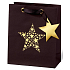BSB Luxus Geschenk Papiertüte 23 x 19 x 9 cm Weihnachtsstern Festival VDT 417 - A5