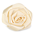 Ditipo Rose Satin Kleber beige 5 cm