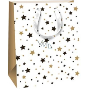 Ditipo Geschenkpapiertüte 18 x 22,7 x 10 cm Glitter - schwarze und goldene Sterne