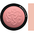 Regina Mineralisches Rouge Farbton 01 3,5 g