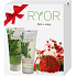 Ryor Kräutershampoo mit Panthenol 200 ml + Regenerierender Conditioner mit Panthenol 200 ml, Kosmetikset
