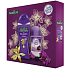 Palmolive Relax Duschgel 250 ml + Lady Speed Stick Black Orchid, Kosmetikset