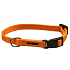 B&F Halsband Gurt neon orange 1,5 x 50 cm