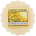 Yankee Candle Flowers in The Sun - Blumen in der Sonne duftendes Wachs für Aromalampe 22 g