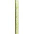 Nekupto Geschenkpapier 70 x 150 cm Grüne, weiße Zweige 997 50