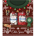 Old Spice Wolfthorn Duschgel 250 ml + Deo-Stick 50 ml, Kosmetik-Set für Männer
