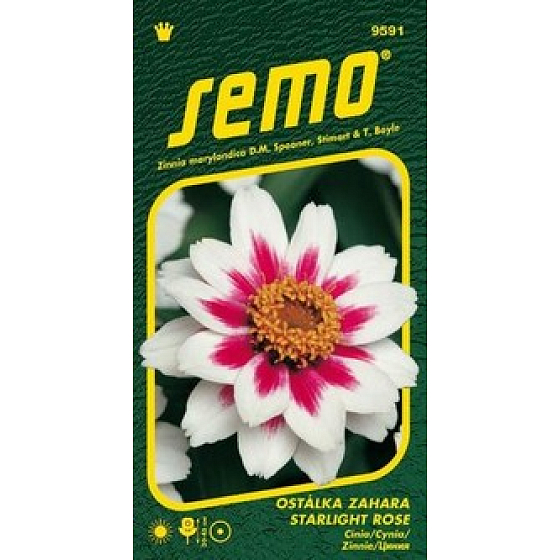 Semo Zahara Starlight Rose 15 Samen