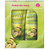 Dermacol Aroma Ritual Sizilianische Pistazien Revitalisierendes Duschgel 250 ml + Körperlotion 200 ml, Kosmetikset