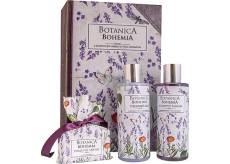 Bohemia Gifts Botanica Lavender Duschgel 200 ml + Haarshampoo 200 ml + Toilettenseife 100 g, Buchkosmetik-Set