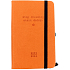 Albi Tagebuch von September 2023 bis August 2024 Tasche wöchentlich Student Orange 14 x 9 x 1,5 cm